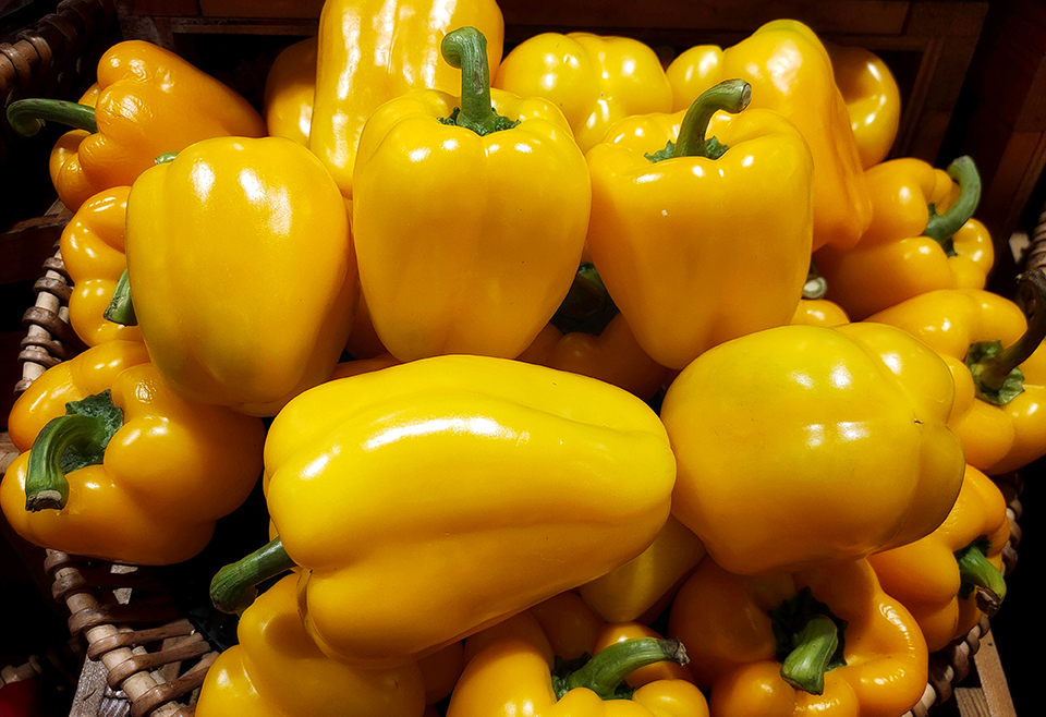 Early Summer Yellow Pepper